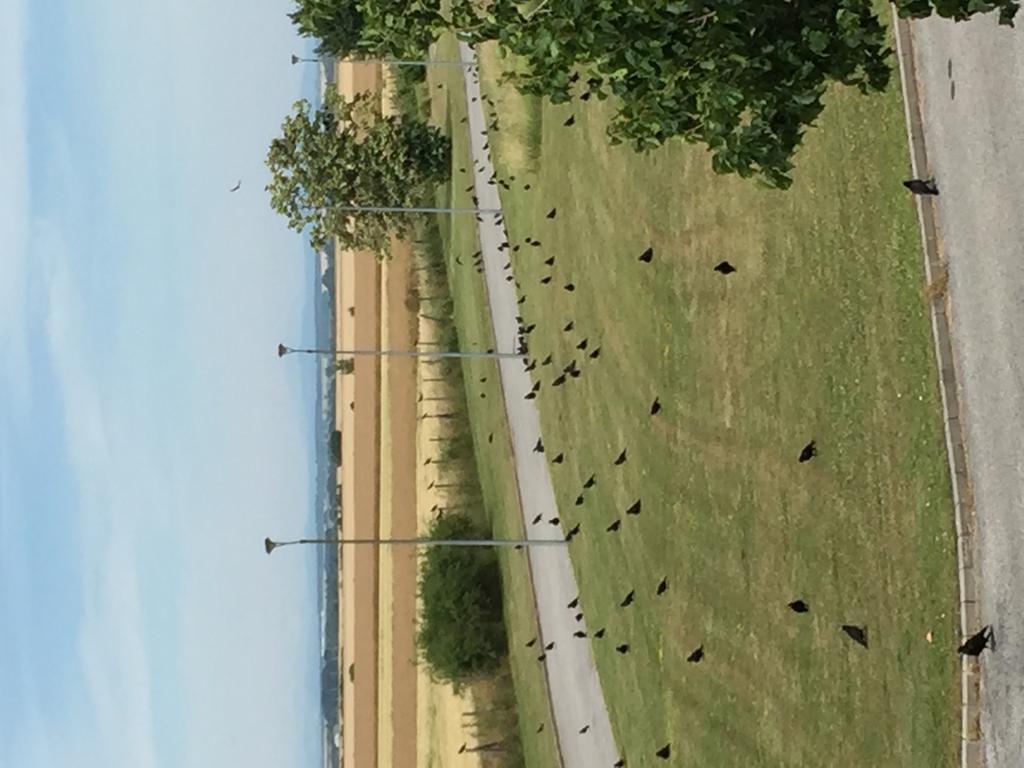Bük Birdland Villapark Golf View מראה חיצוני תמונה